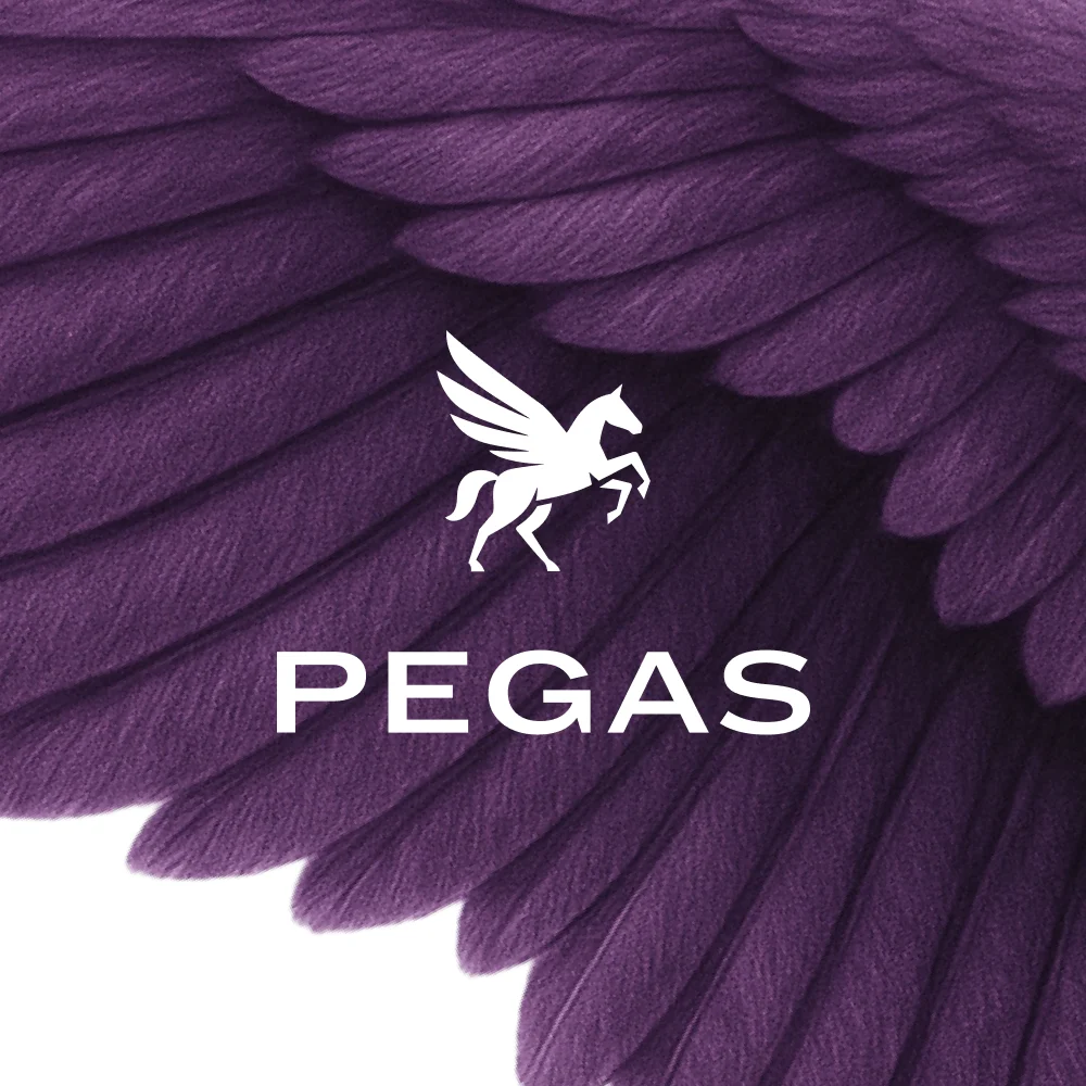 Logo PEGAS CZ s.r.o.